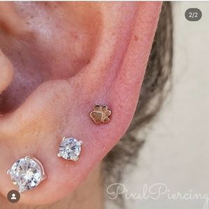 BVLA 🐾 Flat Dog Paw Rose Gold Threaded End for Piercings ✨